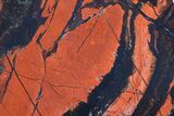 Polished Tiger Iron Stromatolite - ( Billion Years) #72908-1